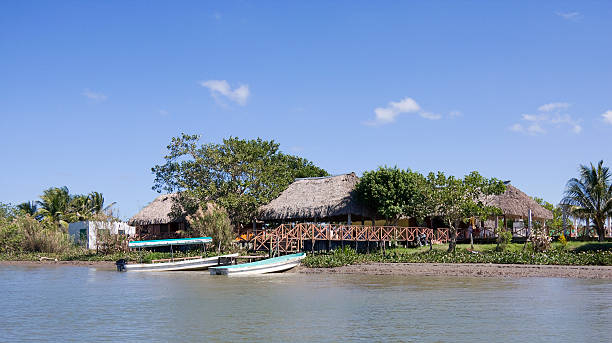 tropical house "traditional tropical house in the usumacinta river bank, centla swamps biosphere reserve in tabasco state, southern mexico" tabasco state stock pictures, royalty-free photos & images