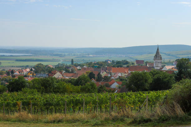 istock Vineyard with historical architecture in the background. 1744778742
