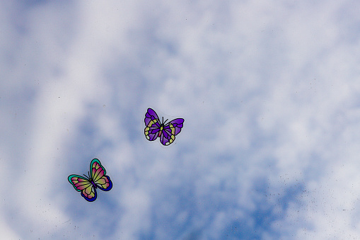 Two butterflies against blue and cloudy sky. Butterfly stickers on a window. Together concept. Insect graphic, illustration.
