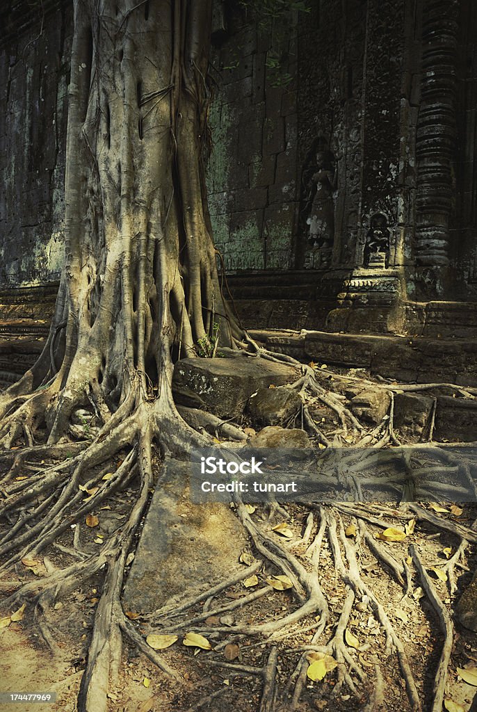 Alte Angkor - Lizenzfrei Alt Stock-Foto