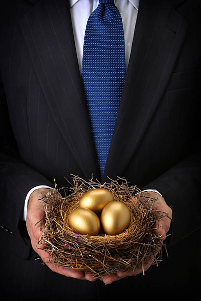 골든 에그스 - birds nest animal nest nest egg savings 뉴스 사진 이미지