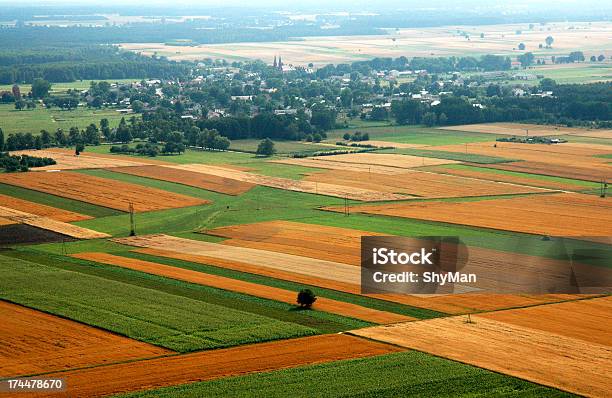 Photo libre de droit de Vue Aérienne banque d'images et plus d'images libres de droit de Arbre - Arbre, Beauté, Bois