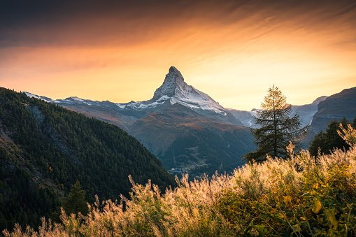 Beautiful golden sunset over Matterhorn, Swiss alps, Iconic mountain peak and meadow in rural scene at Zermatt, Switzerland