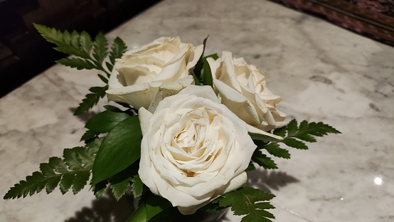 White roses on the table