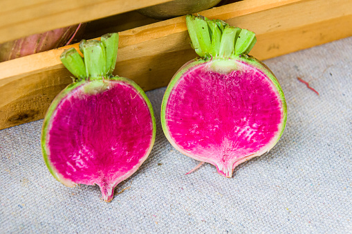 The beautiful color of the interior of a watermelon radish.