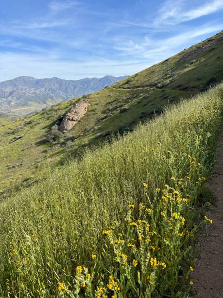 istock Southern California Trail 1744807839