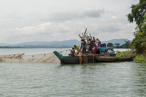 A skilled gropu fisherman's daily routine unfolds on the picturesque Kaptai Lake, providing sustenance for his family