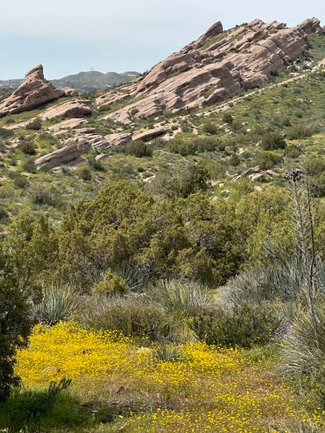 istock Southern California Trail 1744807851