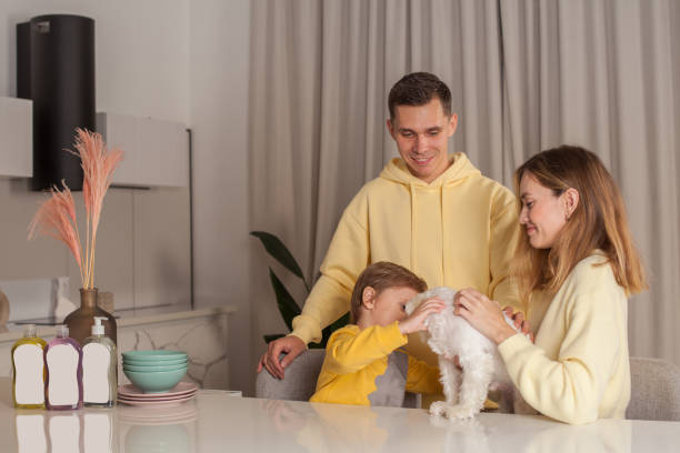 mother and father with child son and white dog, three abstract plastic bottles on the white table - domestic life young family family child imagens e fotografias de stock