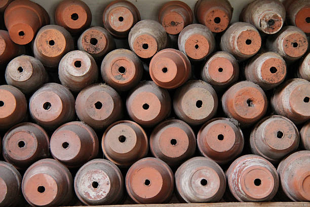 istock Terracotta Flower Pots. 174481524