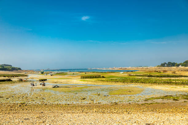 istock On the road in beautiful Brittany with all its highlights 1744829837