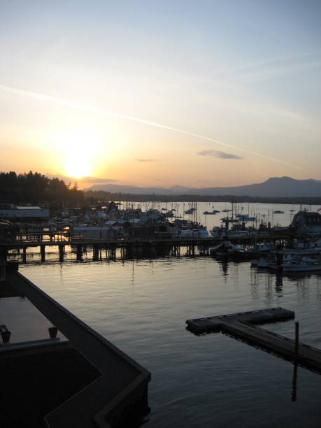 istock Cowichan Bay Marina 1744846671