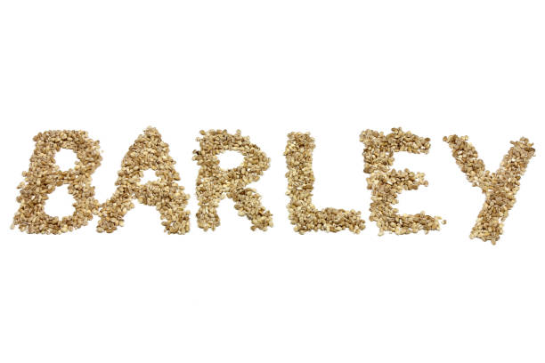 istock BARLEY written with barley grains 1744847763