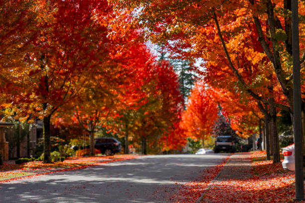 istock Autumn street scene 1744851115