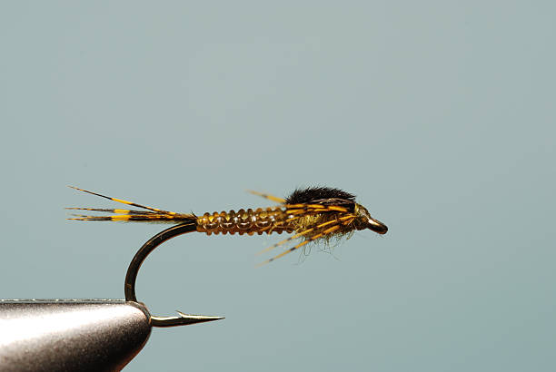 istock Fly Fishing Woven Nymph 174485256