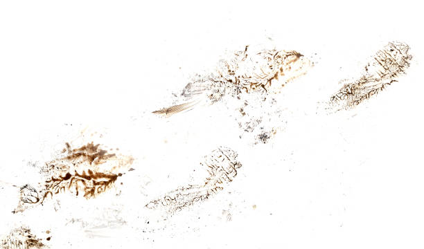 istock Footprint on white floor background 1744861290