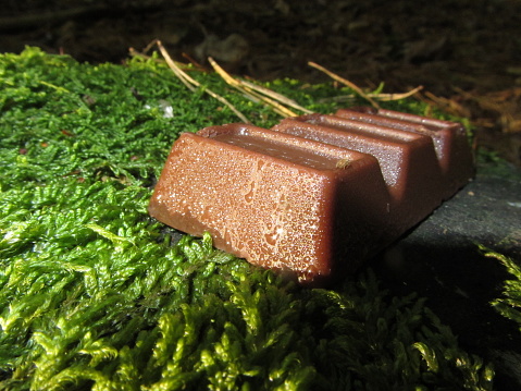 A piece of chocolate lies in the autumn forest on a stump covered with wet green moss. Drops of dew flow down the chocolate.
A ray of sunshine illuminates the composition.