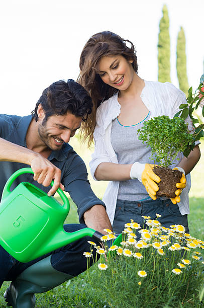 istock Young Couple Gardening Together 174486478