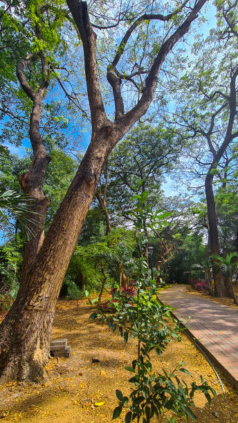 istock Keneddy linear park, guayaquil, ecuador 1744866824