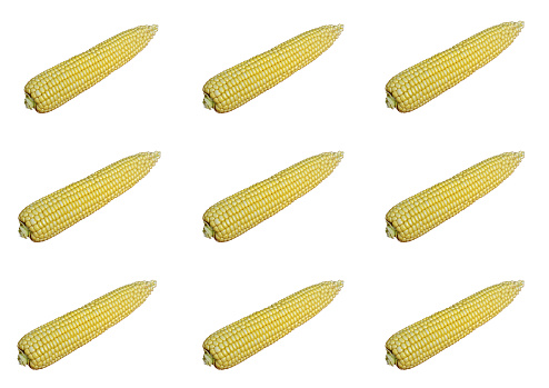 A collage of 9 photographs depicting an ear of corn was created on a white background.