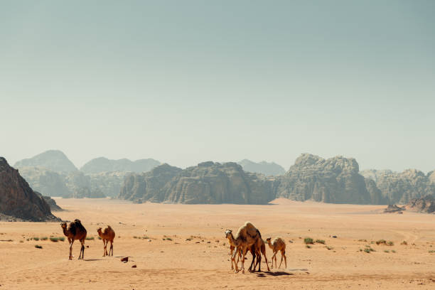 istock Red Sand view of scenary Wadi Rum Desert in Jordan. 1744891702