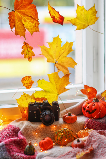 Autumn flat lay background. vintage photo camera, sweater, pumpkin, fall leaves.