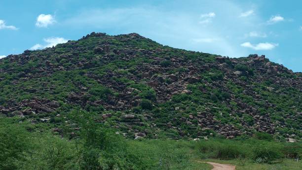 istock A big hill next to the highway is a great place to see 1744913203