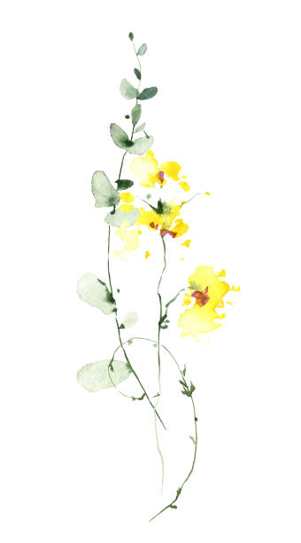 акварельный цветочный букет на белом фоне. желтые полевые цветы, зеленый эвкалипт, травы, листья и веточки. - clover field blue crop stock illustrations