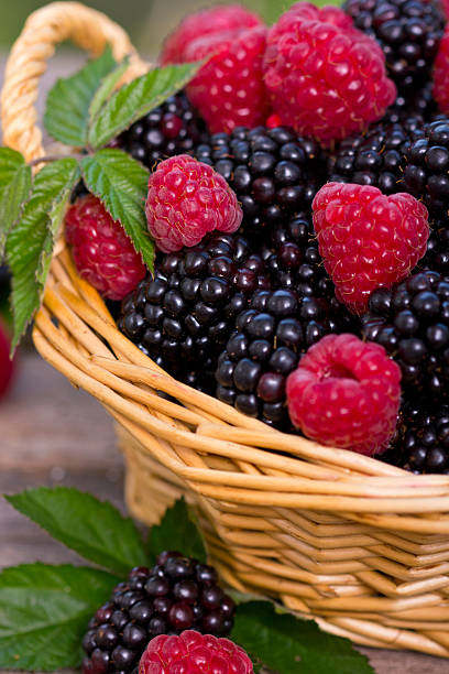 istock Raspberry and blackberry in the basket 174494209