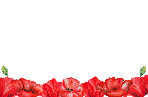 Beautiful card with a watercolor drawing of poppies. Place for a congratulatory inscription. Closeup. National holiday concept. Congratulations for family, relatives, loved ones, friends, colleagues