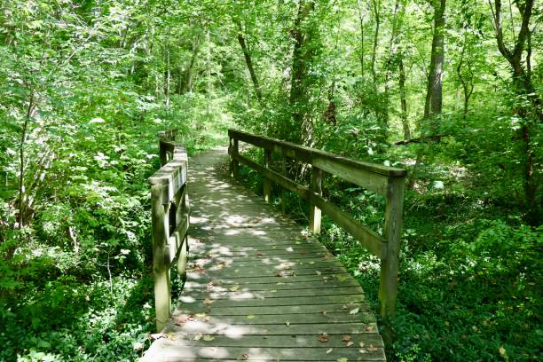 istock Wood Bridge  on the Trail 1744952912