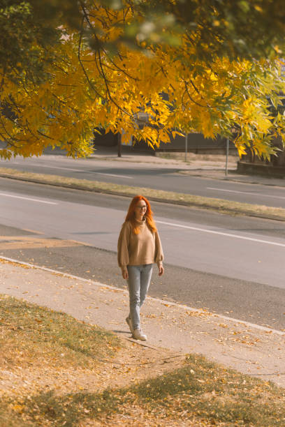 istock Autumn in Europe 1744964887