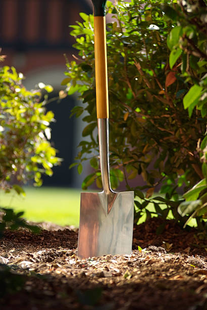 istock Garden spade in ground 174496689