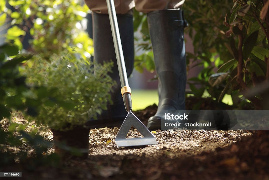 Hombre usando azada - Foto de stock de Acero libre de derechos