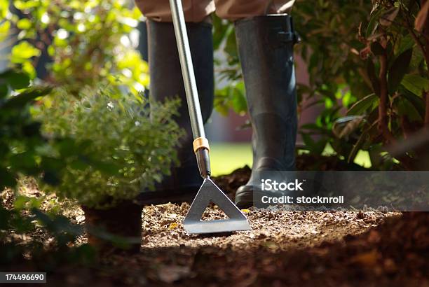 Hombre Usando Azada Foto de stock y más banco de imágenes de Acero - Acero, Acero inoxidable, Agricultura