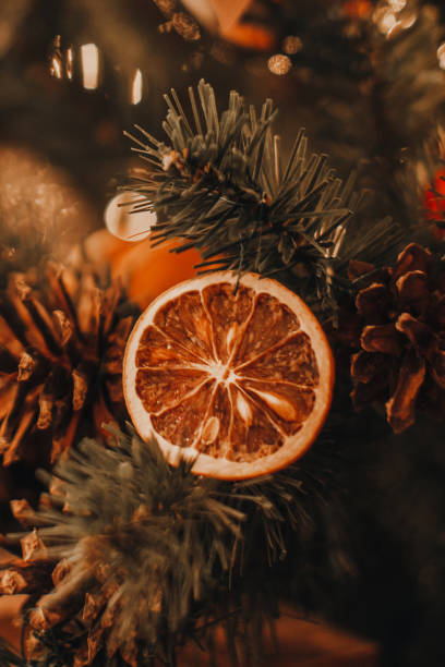 istock Winter magic New Year decor. Dried oranges and cones hanging on the Christmas tree. 1744968091