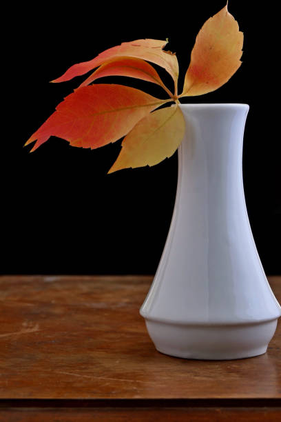 istock Autumn leaves in white clay vase on the table 1744984894