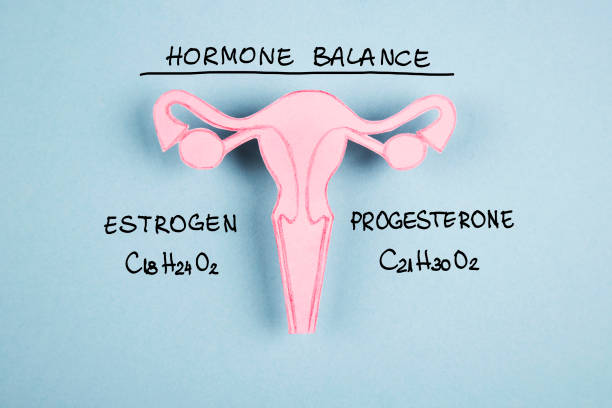 Hormone balance, Estrogen, Progesterone Female reproductive system made of paper and Hormone balance, Estrogen, Progesterone on blue background Balances Hormones image stock pictures, royalty-free photos & images