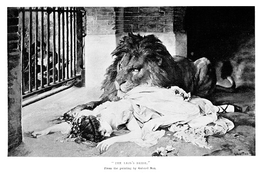 A bride in her wedding gown lies in a cage with a male lion. The groom (left) is trying to open the cage to rescue her. 