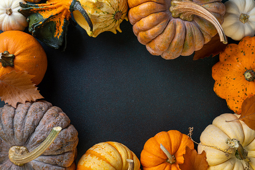 Thanksgiving background with fruit and vegetable on wood in autumn and Fall harvest season.Copy space for text.