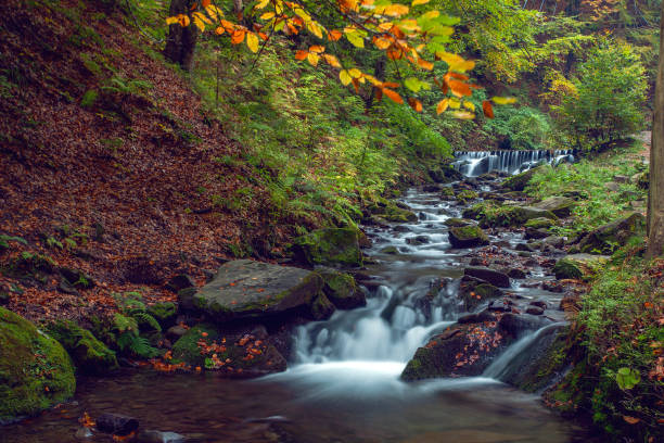 istock Shypit waterfall in Carpathian mountains in autumn, Ukraine 1745066239
