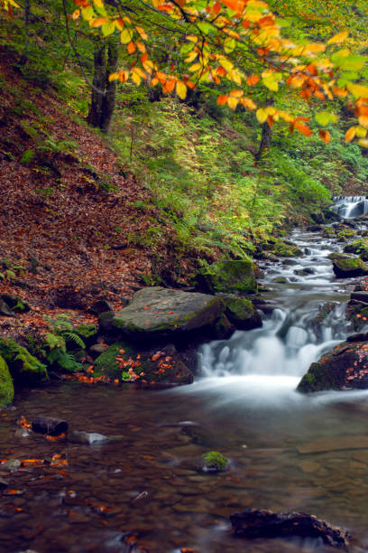 istock Shypit waterfall in Carpathian mountains in autumn, Ukraine 1745066240