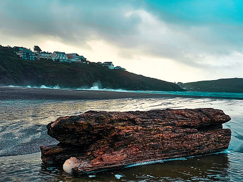 Discover the captivating beauty of a weathered log washed up on a serene autumn beach, set against a backdrop of tranquil blue and grey skies. Let the soothing seas and rustic charm of this scene transport you to a world of natural wonder.