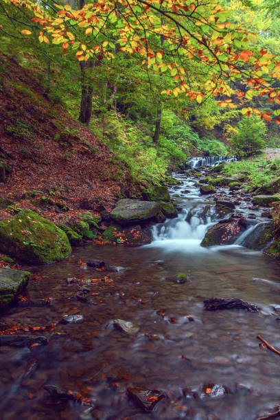 istock Shypit waterfall in Carpathian mountains in autumn, Ukraine 1745072873