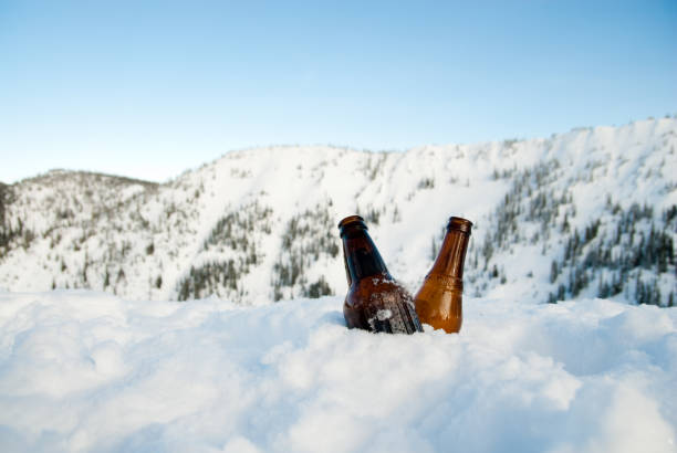 due birra fresca nella neve sulla cima di una montagna - beer bottle beer cold alcohol foto e immagini stock