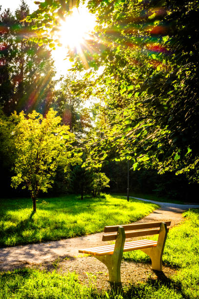 istock old wooden park bench - austria 1745080986