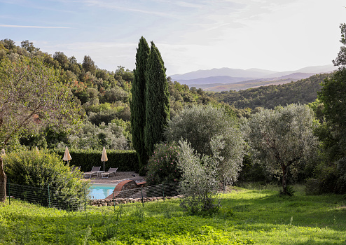 A swimming pool on the Montemassi hillside surrounded by cypresses and oleanders n the province of Grosseto. Italy