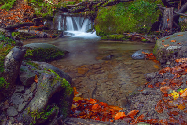 istock Shypit waterfall in Carpathian mountains in autumn, Ukraine 1745093574