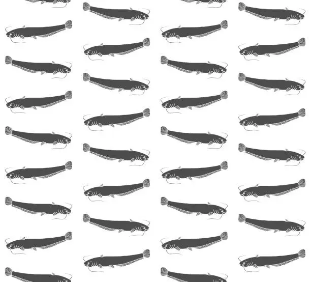 Vector illustration of Vector seamless pattern of hand drawn doodle sketch catfish fish