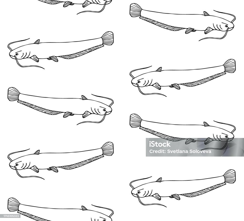 Catfish Pattern Vector Seamless Pattern Of Hand Drawn Doodle Sketch Catfish Fish Stock ...